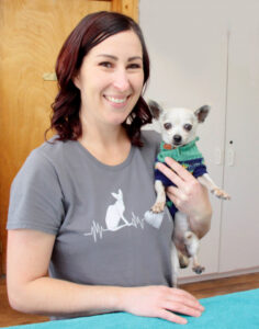 New low-cost veterinary clinic launches