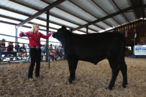 Fair seeks entries, judges, attendees