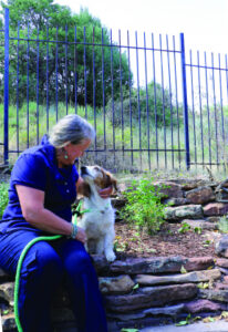 Pooch survives lion attack
