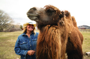 At Camel Valley Ranch it’s always … HUMP DAY