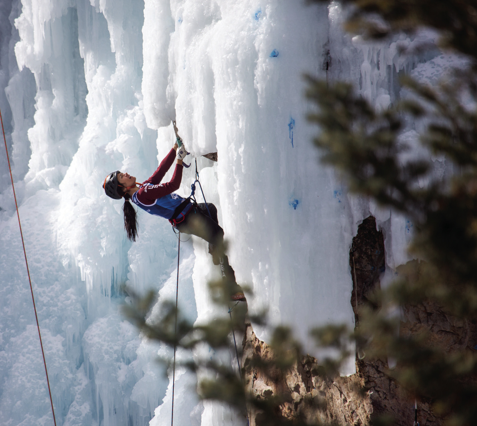ICE FEST 2024