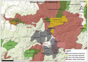 Deal helps protect bighorn sheep habitat