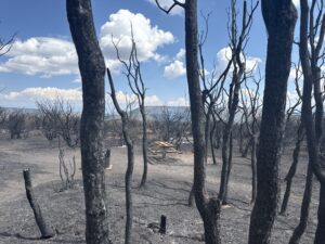 Crews start to gain ground on South Rim Fire