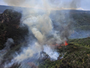 Wildfires surge across region