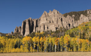 The pinnacle of autumn - News