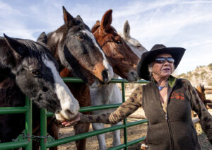 ‘I did it for the animals’