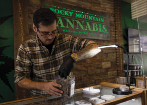 Formerly a cash cow, bloom wilts on cannabis