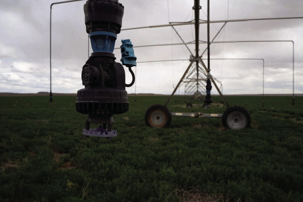 Farmers cinch belts ahead of summer - Ouray County Plaindealer