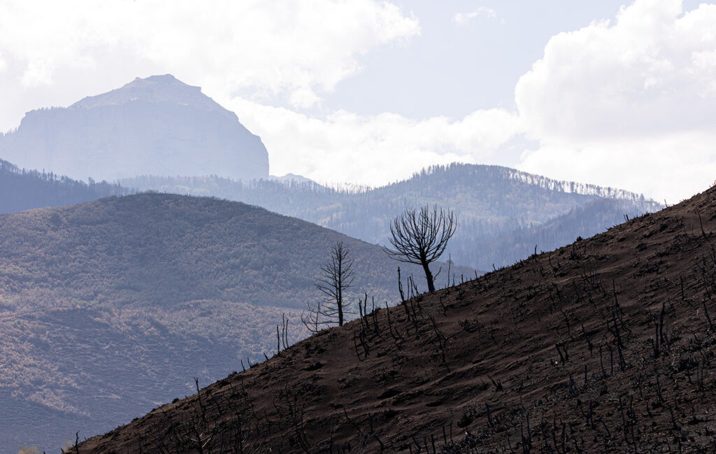 Trump declares disaster for Gold Mountain, Aspen Acres fires