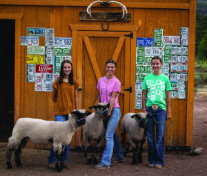 County fair carries on