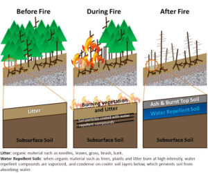 Why can rain on wildfire burn scars trigger dangerous flooding? A geologist explains